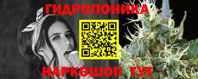 СК Нягань